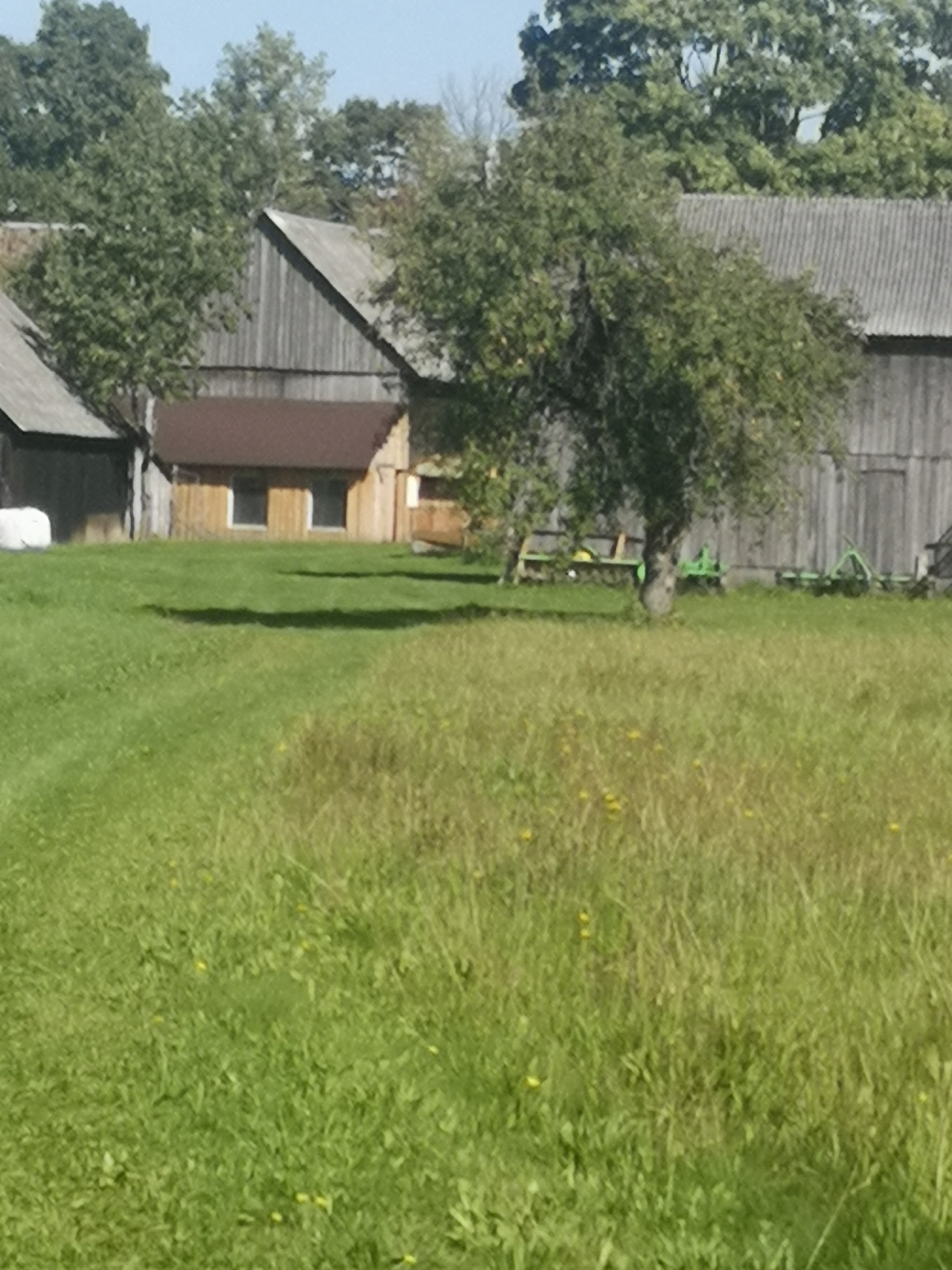 Edukacijos ūkyje