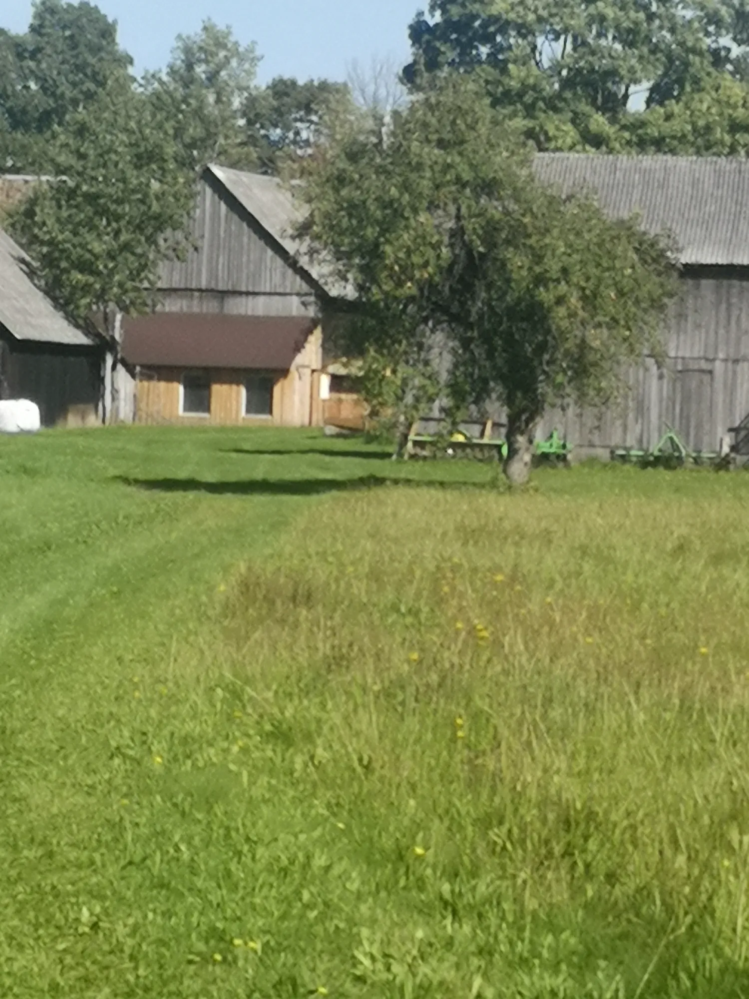 Edukacijos ūkyje