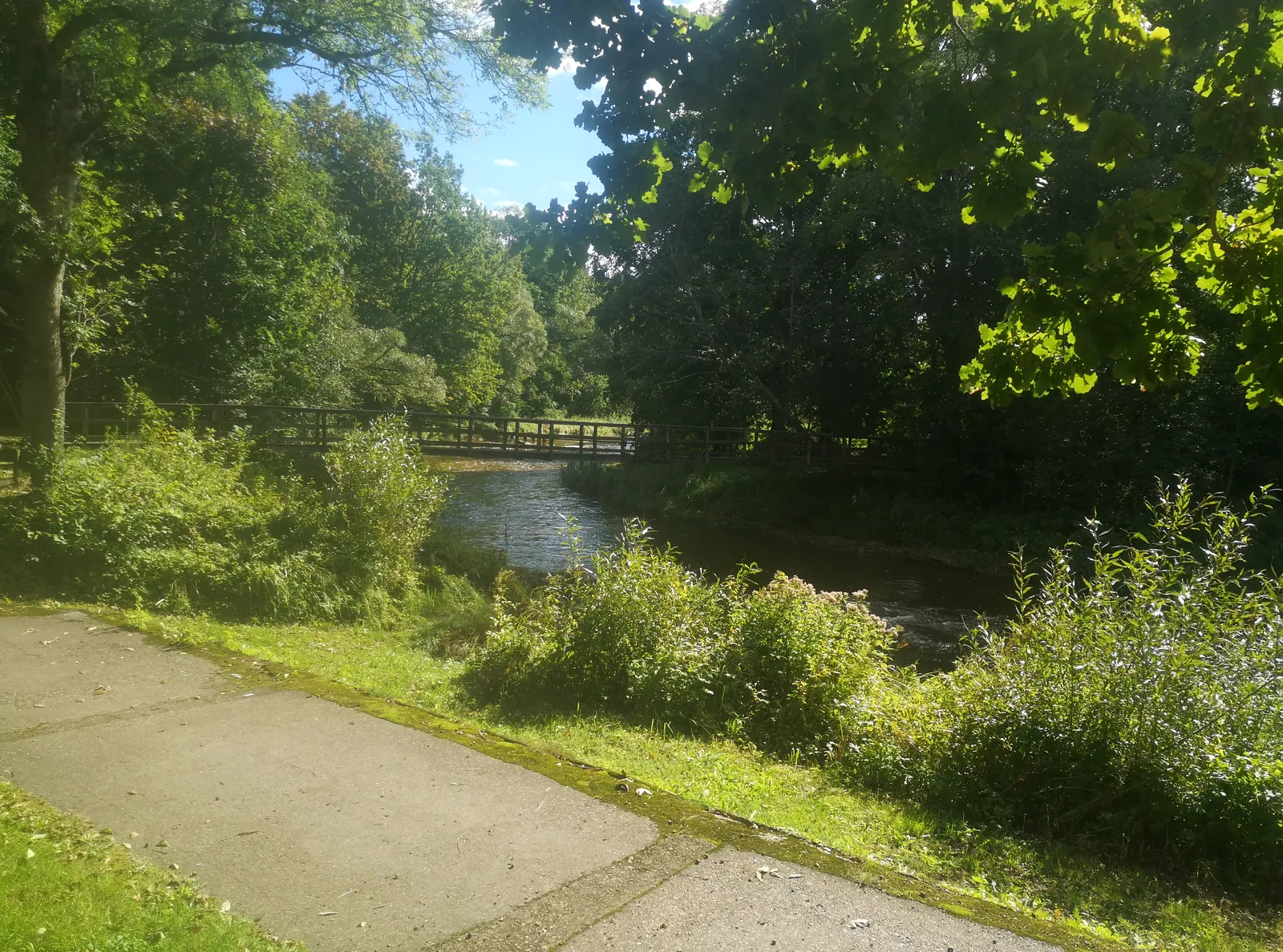 Lakštingalų slėnis — saulėta pieva