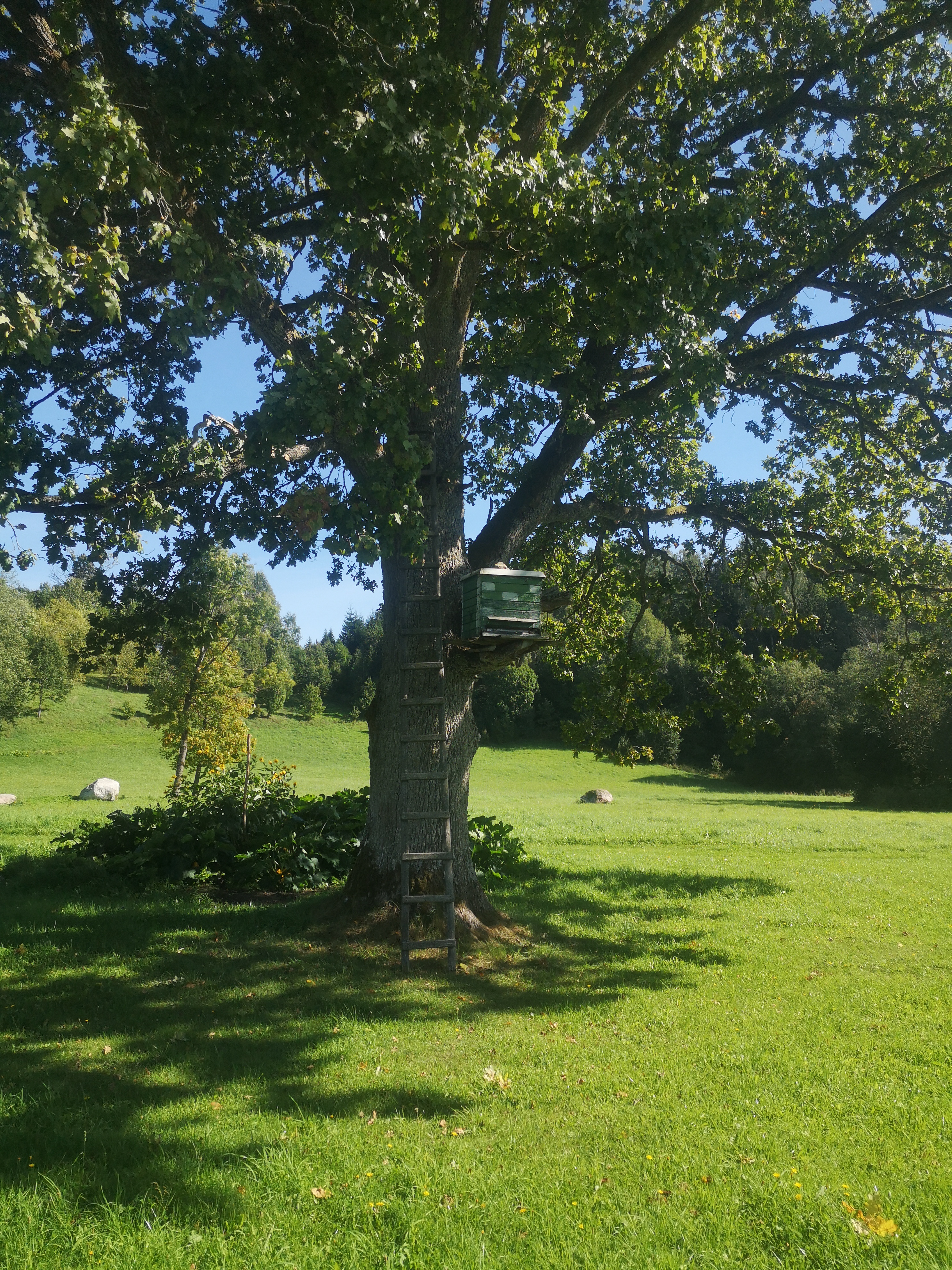 Farm surroundings